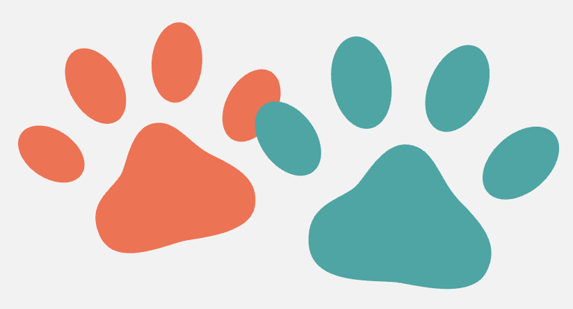Pamper Your Pooch Store